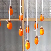 吊し柿を少し揉んでおいておくと風が仕上げてくれるのです。　　　　・吊し柿風の仕上げてくれにけり(和良)