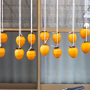 第二陣となる柿を軒下に吊しました。仕上がりが楽しみです。　　　　　　　・第二陣なる柿吊す軒下に(和良)