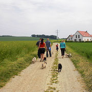 Die schnellen von  der Truppe!