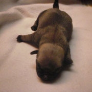 unser kleiner Bub