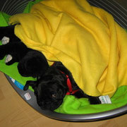 Relaxen ist wunderbar!