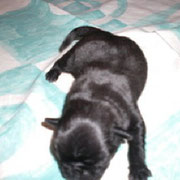Beverly Princess 2 Tage alt