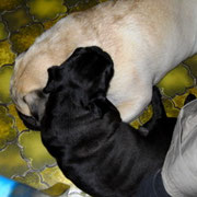 Kuschelstunde mit Louis