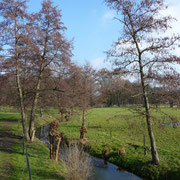 Nebenfluss der Anger