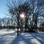 Wintersonne im Poensgenpark