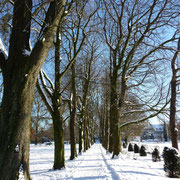 Allee im Poensgenpark