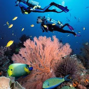 Buceo