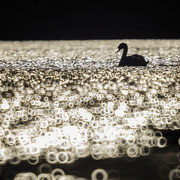 © Claudia Kruszka