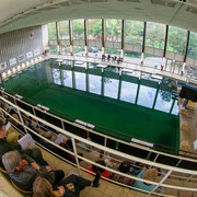  "Herbst zeit los" - Konzert mit Streichquartett“ - LUcation - Ehemaliges Hallenbad Nord Foto: Martin H. Hartmann