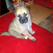 Unser Monty