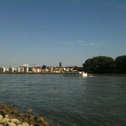 Von der anderen Rheinseite aus gesehen