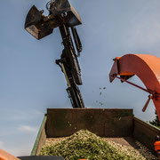 Schiller Gartengestaltung - Garten und Landschaftsbau Cuxhaven - Gewerbekunden - Objektpflege