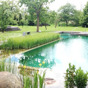 Schiller Gartengestaltung - Garten und Landschaftsbau Cuxhaven - Wasserobjekte