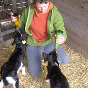 Dorothé et les chevreaux