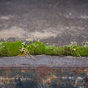 Foto: Astrid Hansen