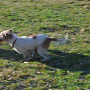 Januar 2013