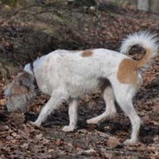 Februar 2012