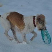 Dezember 2012