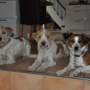 Juli 2012 - mit Bailey