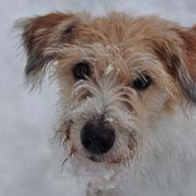 Dezember 2010