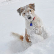 Januar 2010
