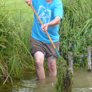 Noah holt Wasserpest aus dem Teich