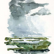 Sophie Bataille - dessin aquarelle d'observation naturaliste