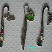 Chagoë Marquepages 2011