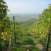 Blick von Burg Hoheneck bei Ipsheim