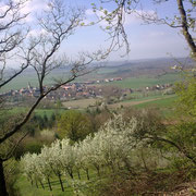 Rüdisbronn