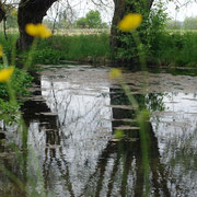 Aischquelle