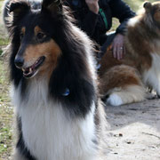 Klara, hinten Loona