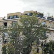 Le chantier du vivant : attendre que les plantes poussent !