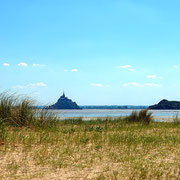 Derrière la dune au Bec d'andaine à genets 29/04/2025