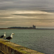 St Vaast la Hugue et l'ile de tatihou