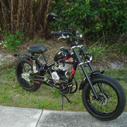  three speed transmission [functional w/motor] Black Beauty