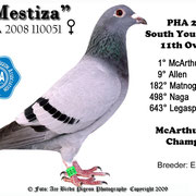 Mestiza PHA 2008 110051