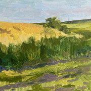 Sint-Pieters voeren 1 - 20x20cm - oilpxint on canvas - 2023 - Available