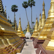 Die goldbelegten Stupas glänzen im Licht der Tropensonne.