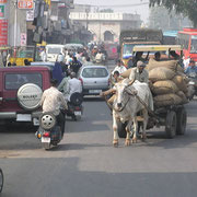 Typische Verkehrssituation in den Innenstädten Indiens.