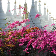 Tropische Farben vor den weissen Stupas einer Tempelanlage.