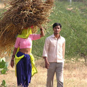 Typische Lastenverteilung in Indien - die Rolle der Frau - im Gesicht verschleiert sonst aber bauchfrei.