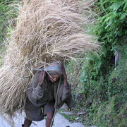 Hier sind wir in Nepal. In den Bergregionen gibt es meist keine Alternative zum tragen.