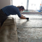 conservation project