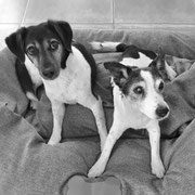 Luna & Sparky Bahr