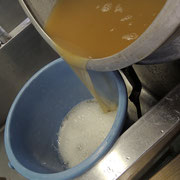 3・4日目《大豆》3日目、大豆を水で洗い浸水させます。4日目、大豆を指で潰れる程柔らかく煮ます。茹で汁も少し取っておきます。