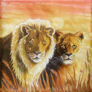 Si 13: König und Königin (Panthera leo). 2015, Seidenmalerei 90 x 90 cm. UNVERKÄUFLICH.