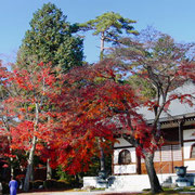 《能仁寺境内の紅葉》お堂の白壁と真赤な紅葉の対比が見事でした。