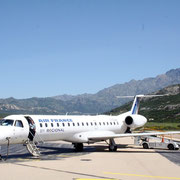 L'avion qui effectue le vol