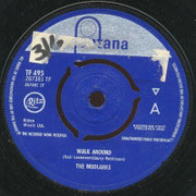 Walk Around/ Here's Another Day Fontana TF 495 1964